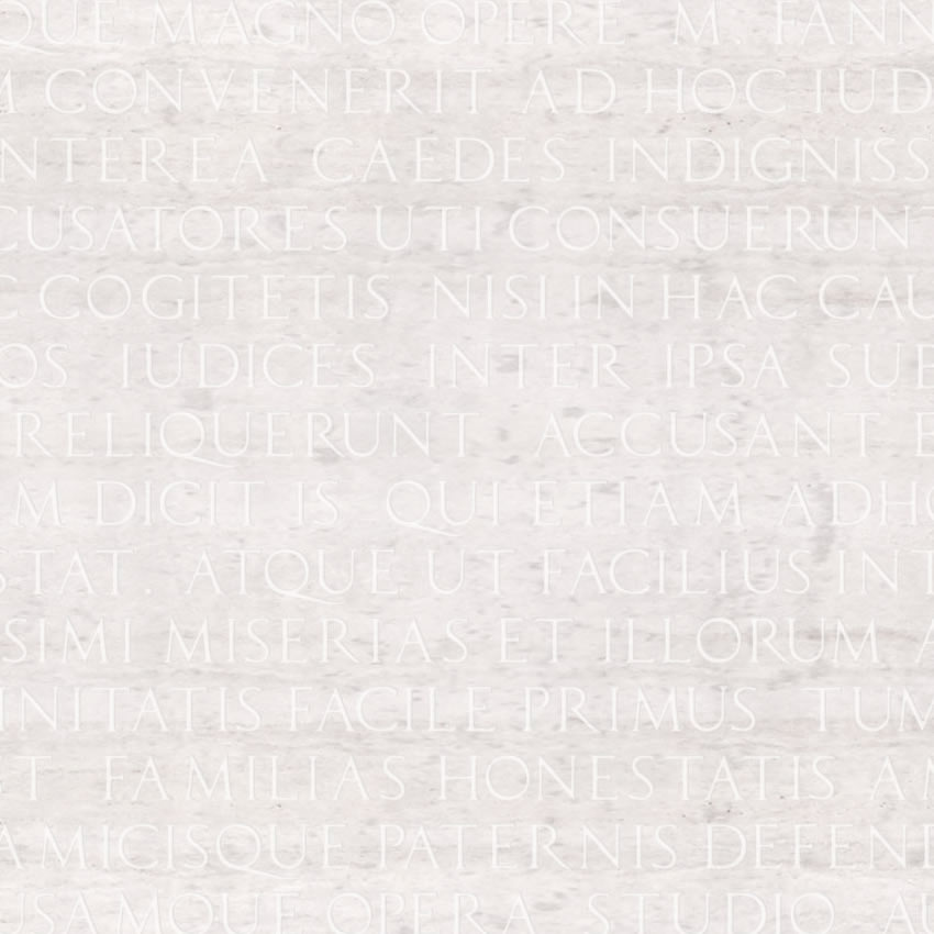 dettaglio carta da parati latino