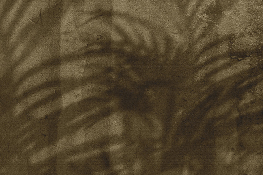 dettaglio carta da parati ombre su cartone