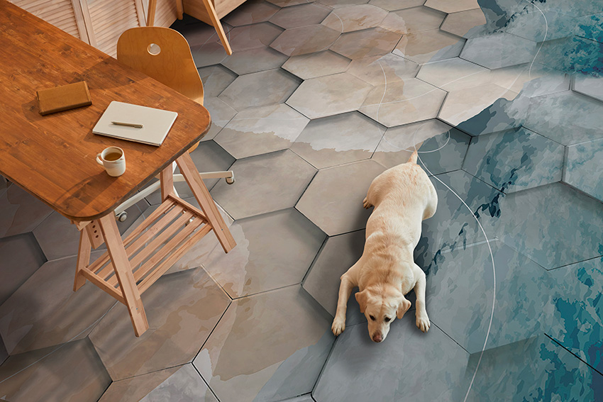 parati pavimento esagoni color