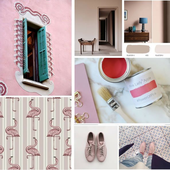 moodboard fenicotteri