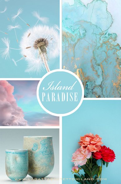 moodboard island dandelion