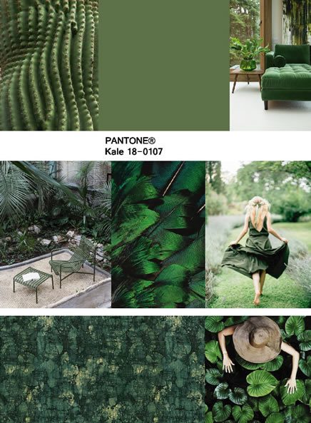 moodboard tropicale