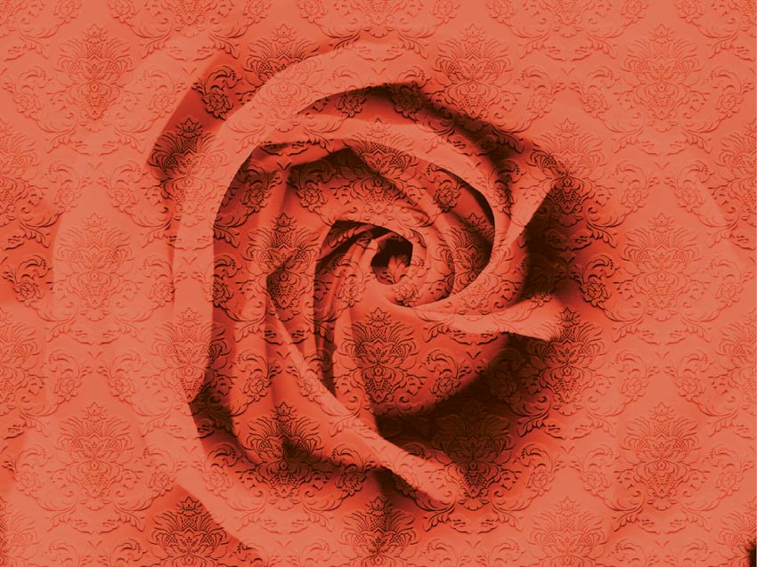 Stanza Nature - Rosa damascata colore 3 terza variante di colore