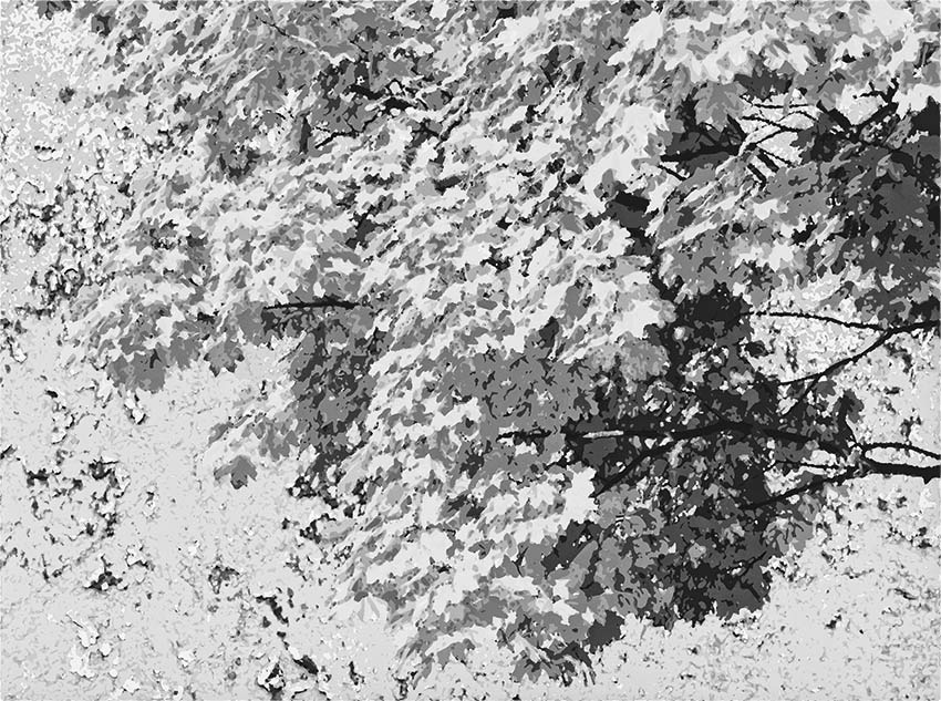 Stanza Nature - Foglie d’autunno colore 3 Terza variante di colore