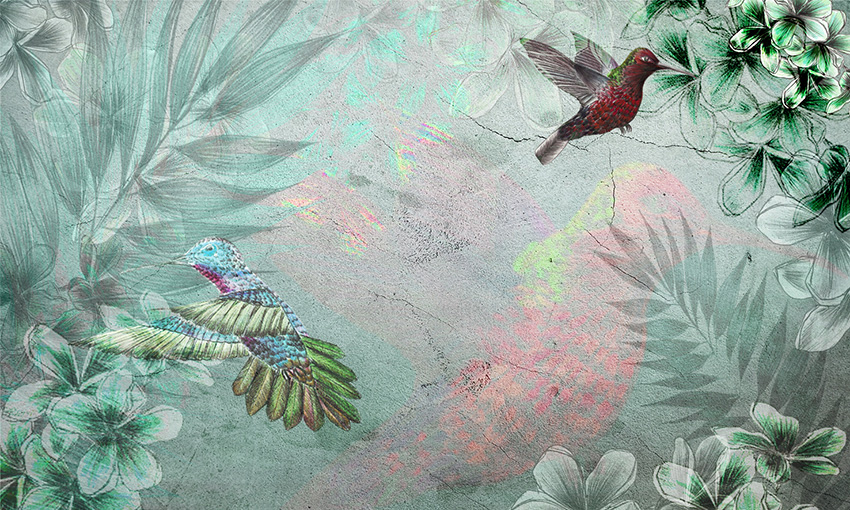 Parete Nature - Colibrí colore 5 carta da parati colibri colore 5