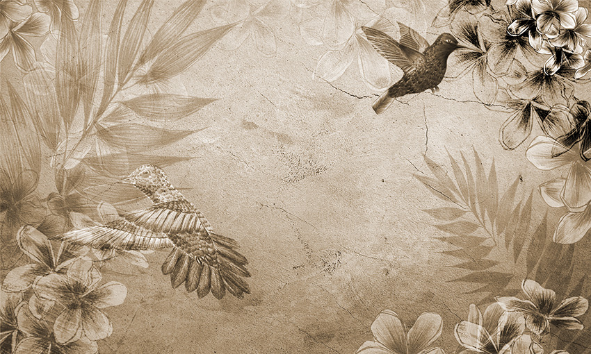Wallpaper Nature - Colibrí colore 4 carta da parati colibri colore 4