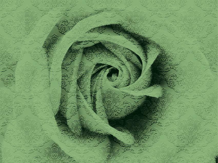 Wallpaper Nature - Rosa damascata colore 4 quarta variante di colore