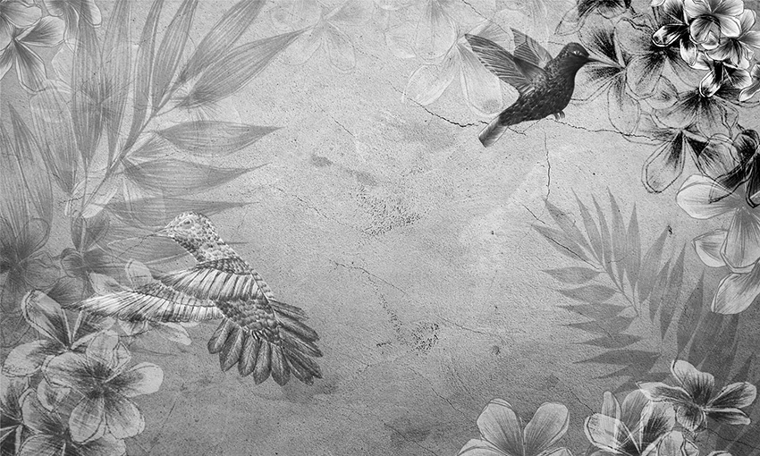 Pareti Nature - Colibrí colore 2 carta da parati colibri colore 2