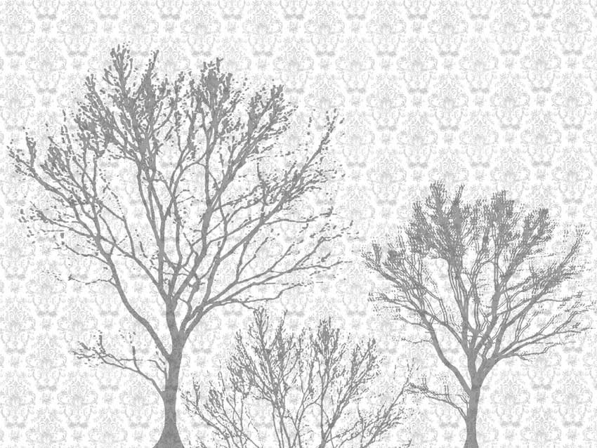 Pareti Nature - Natura damascata colore 2 Seconda tipologia di colore