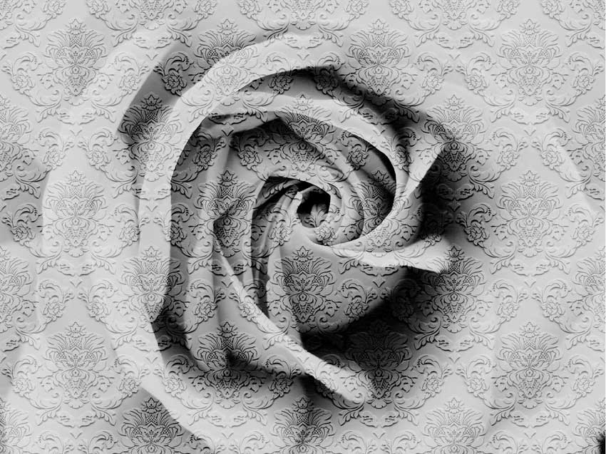 Pareti Nature - Rosa damascata colore 2 Seconda variante di colore