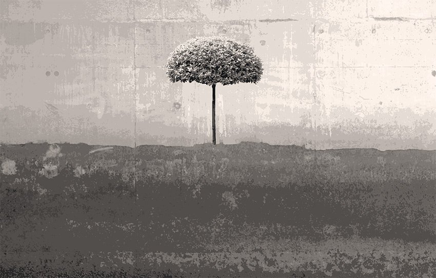 Pareti Nature - Albero su prato colore 2 Seconda proposta grafica per la carta da parati. Tonalità di grigio