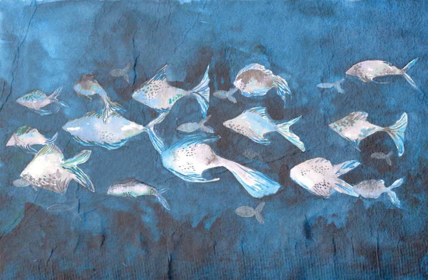 acquario carta da parati