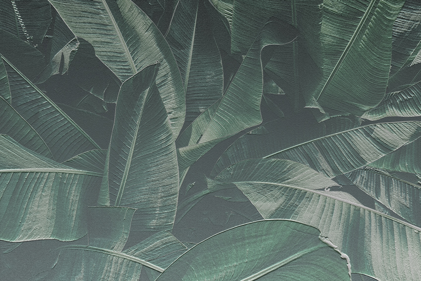 banano carta da parati