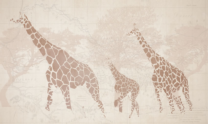 cameretta carta da parati