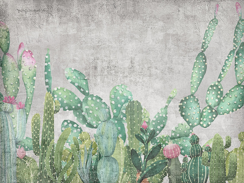 cactus carta da parati