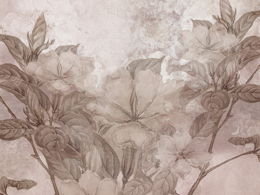 delicates carta da parati