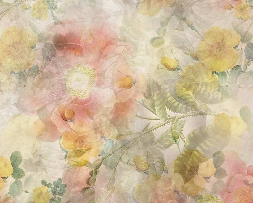 fiori delicati carta da parati