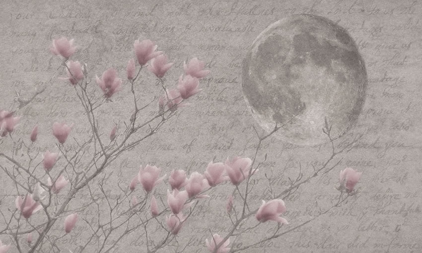 luna carta da parati