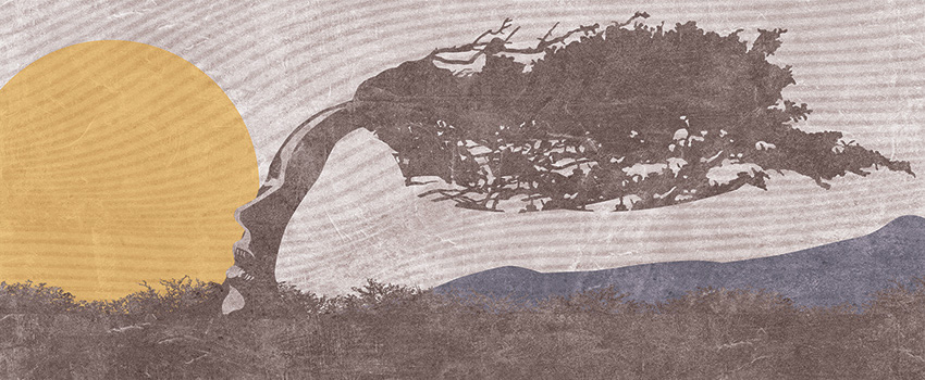 terra del vento carta da parati