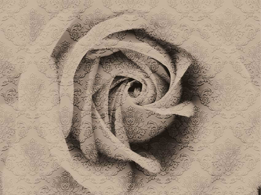 Parato Nature - Rosa damascata colore 1 Carta da parati con prima variante di colore