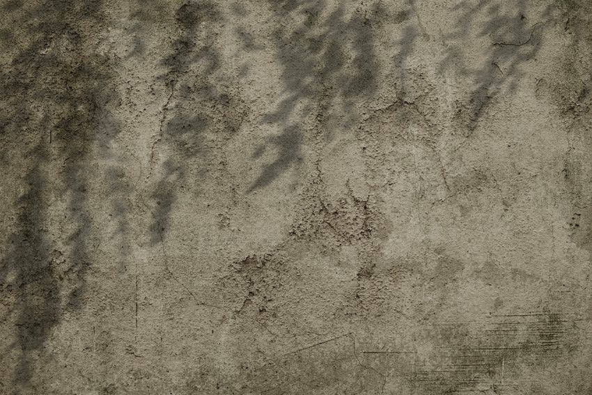 ombre sul muro carta da parati