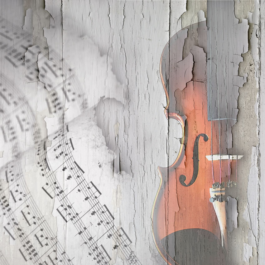 violino carta da parati