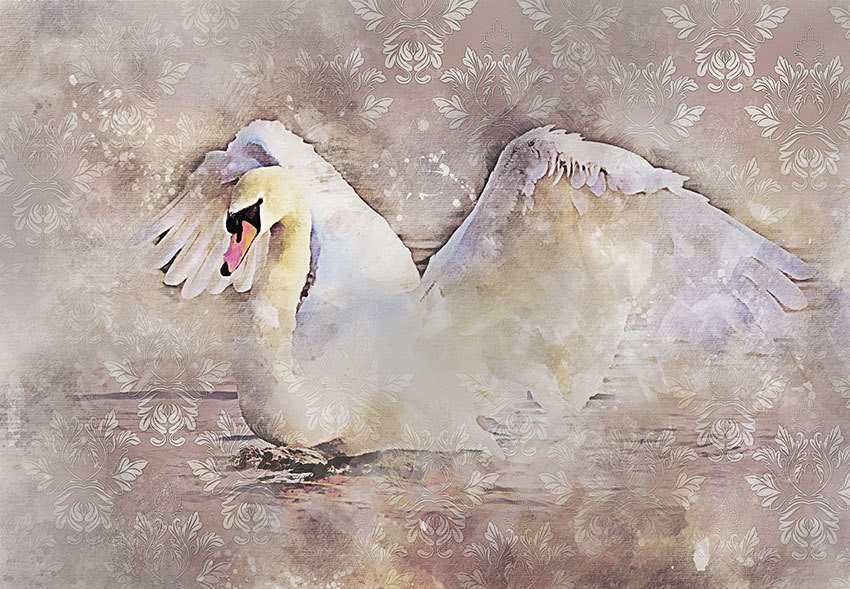 cigno carta da parati