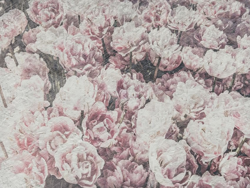 distesa di fiori carta da parati