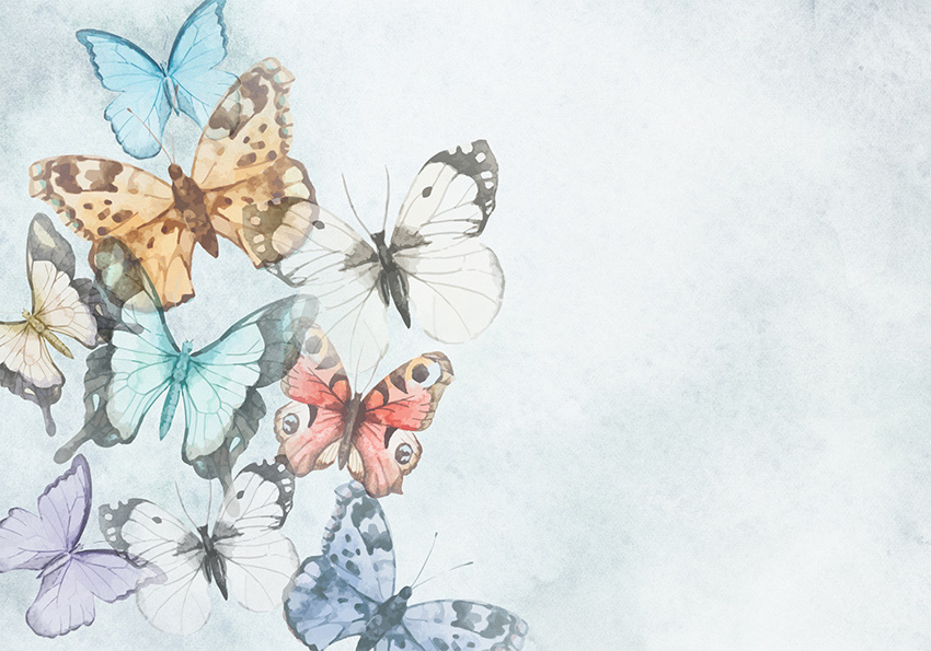 farfalle colori carta da parati
