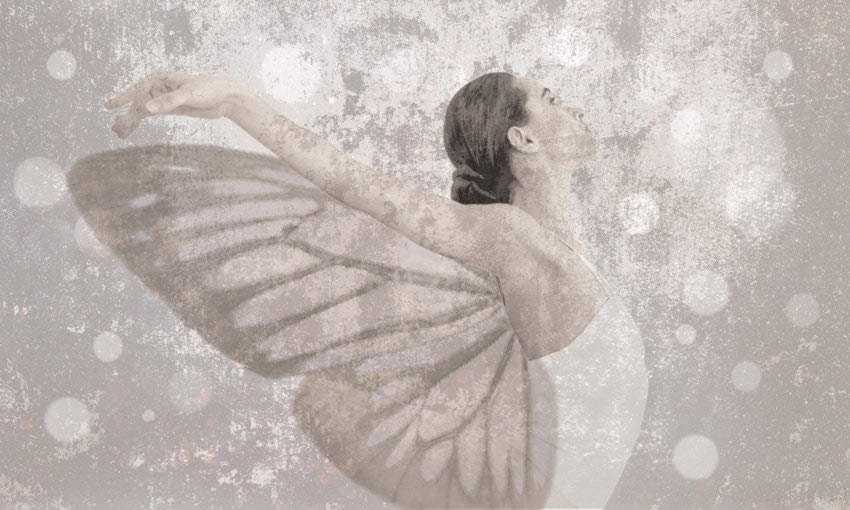 il volo carta da parati