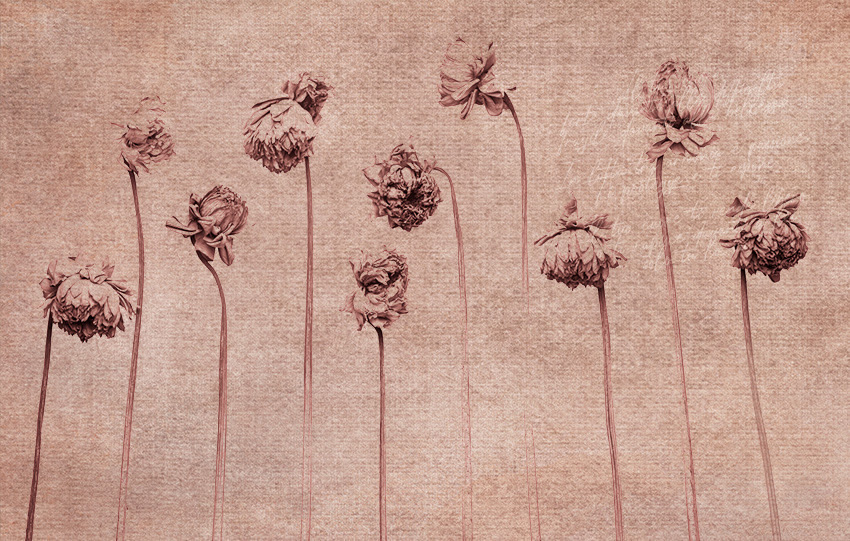 poesia carta da parati