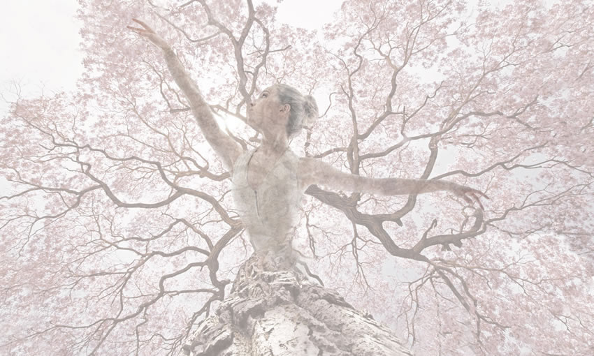 primavera carta da parati