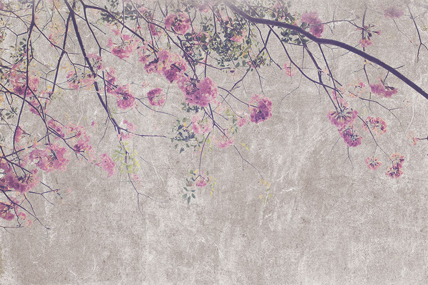 rami fioriti carta da parati