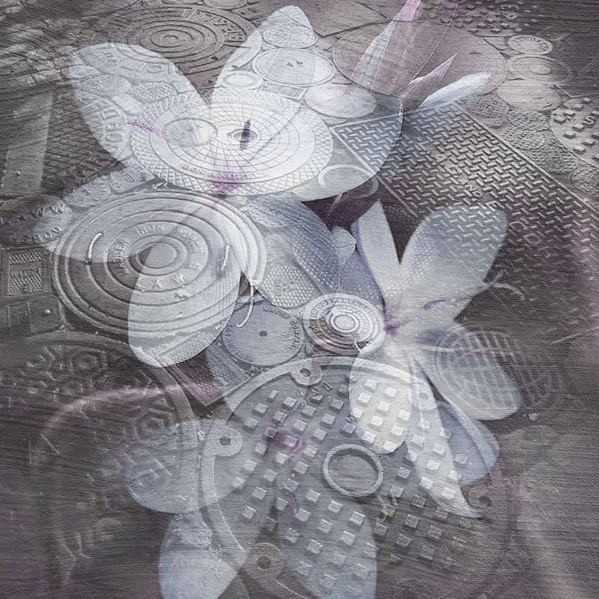 urban loto carta da parati