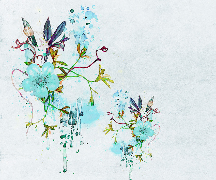 delicato azzurro carta da parati