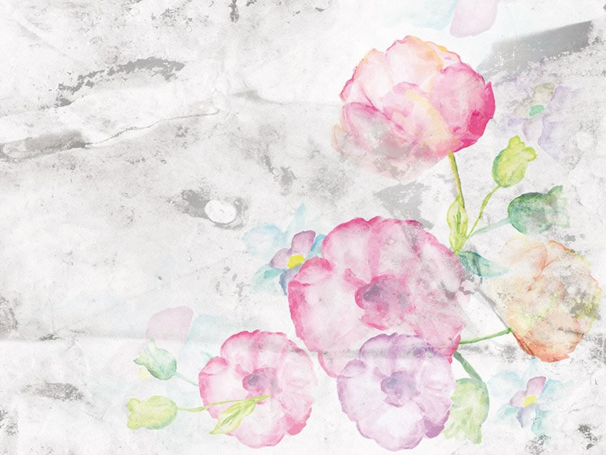 Immagine della grafica incollata a parete