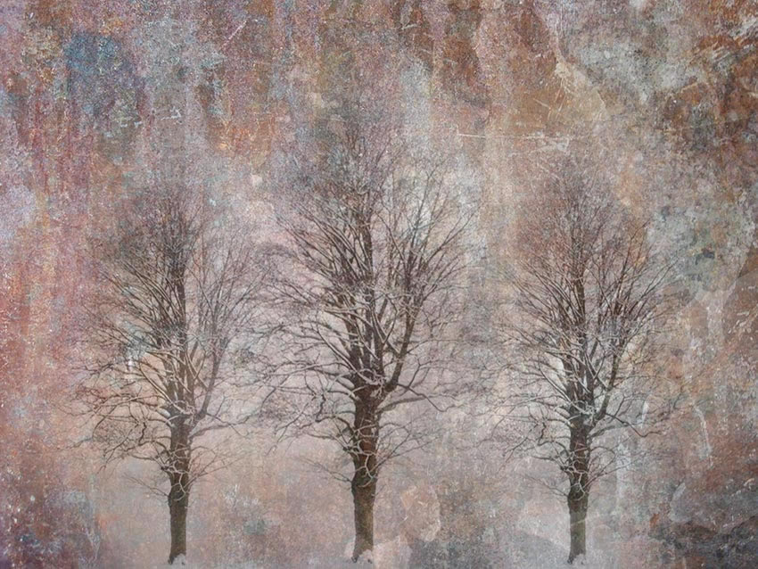 Grafica della carta da parati.