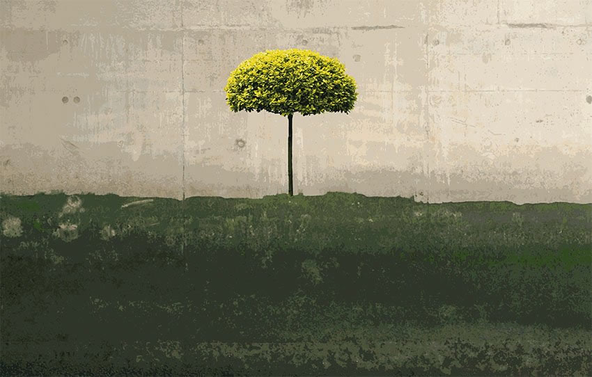 Parato Nature - Albero su prato colore 1 Grafica della carta da parati proposta nella prima variante di colore