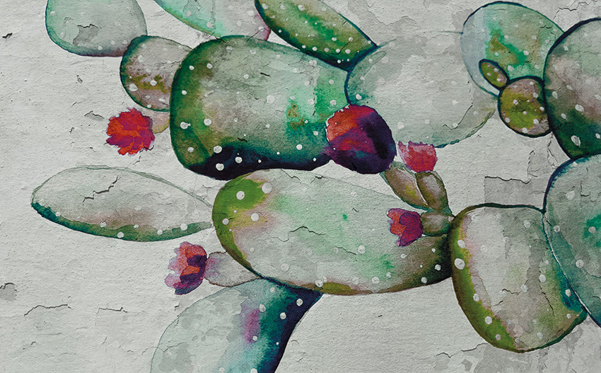 cactus design carta da parati