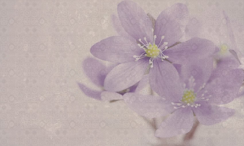 fiori design carta da parati