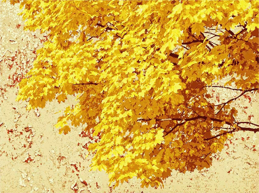 Parato Nature - Foglie d’autunno colore 1 Prima variante di colore per foglie d’autunno