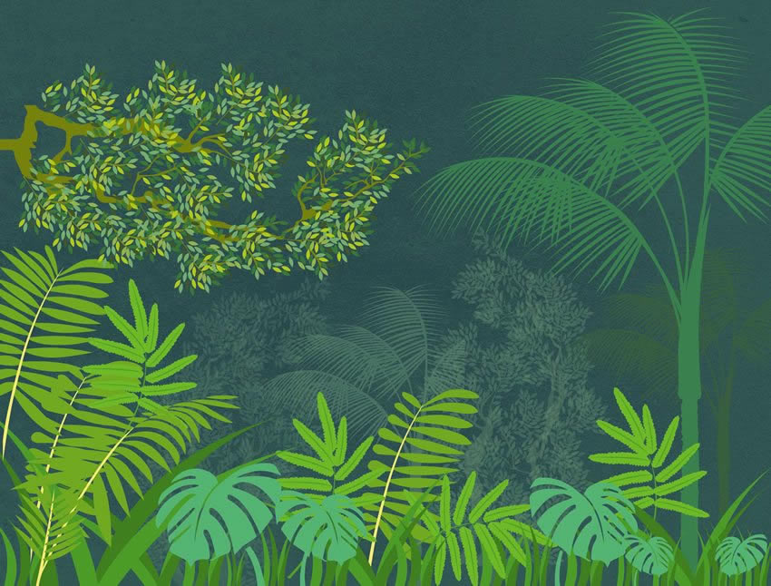 carta da parati boscaglia verde