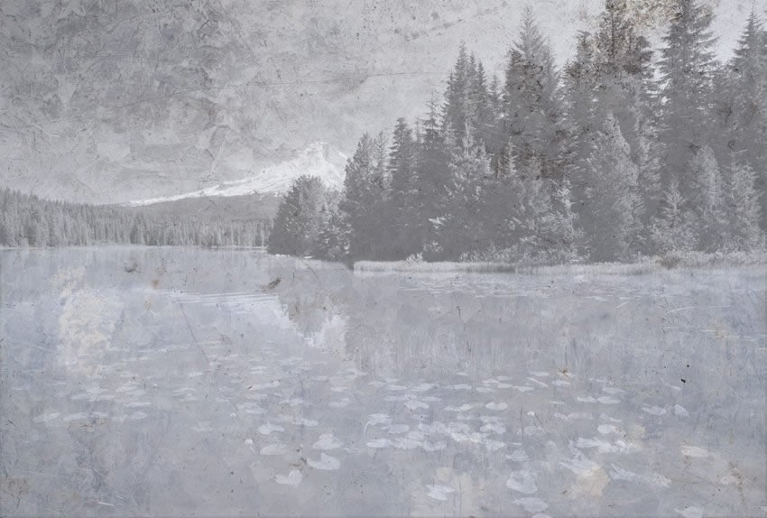 carta da parati lago tipologia di colore originale