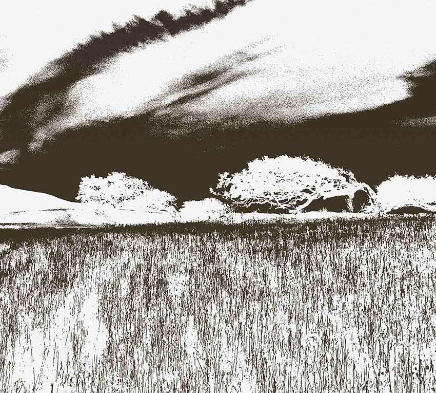 carta da parati maestrale colore originale