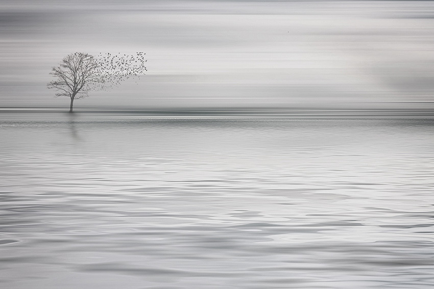 mare e cielo carta da parati