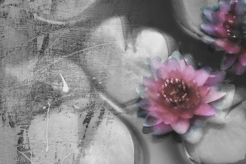 ninfee art carta da parati