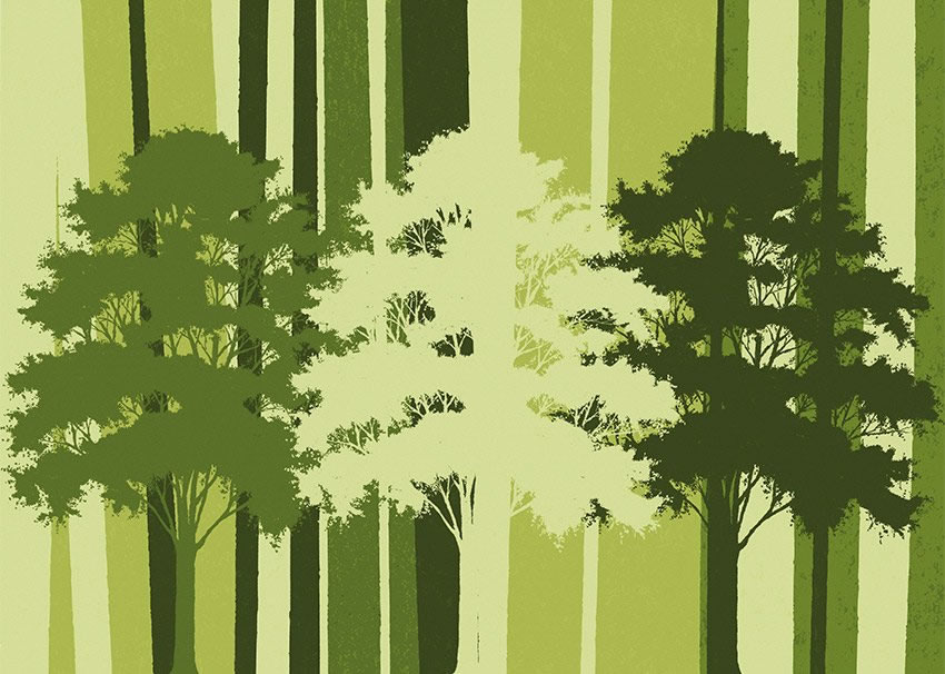 Parato Nature - Rami e foglie colore 1 Prima variante di colore per la carta da parati