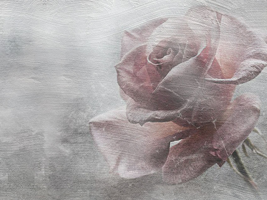 Grafica della carta da parati