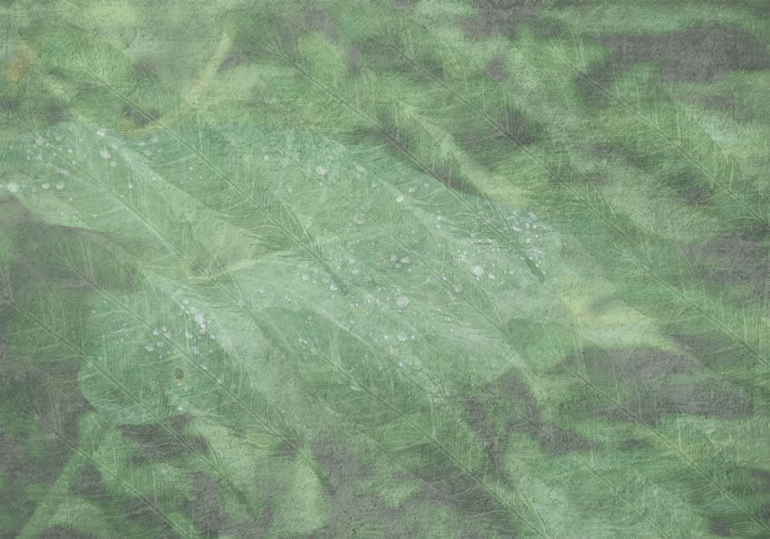 tropicale carta da parati