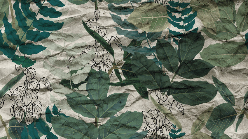 tropicale vintage carta da parati